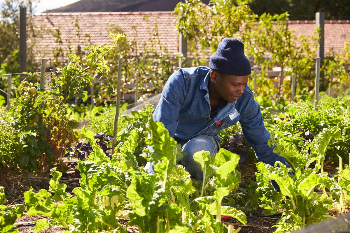 Veteran working the land at BodyTruth Family Farms